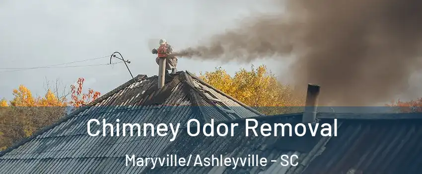 Chimney Odor Removal Maryville/Ashleyville - SC