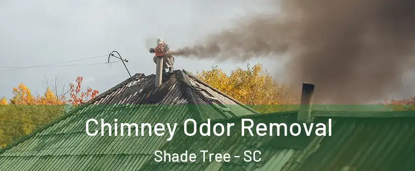 Chimney Odor Removal Shade Tree - SC