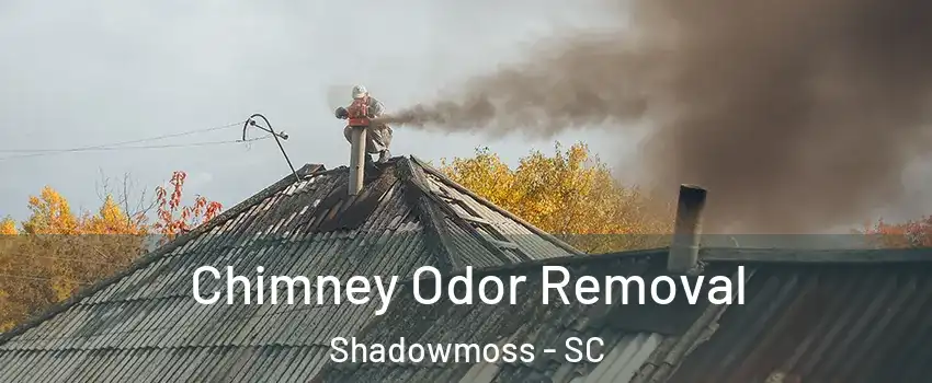Chimney Odor Removal Shadowmoss - SC