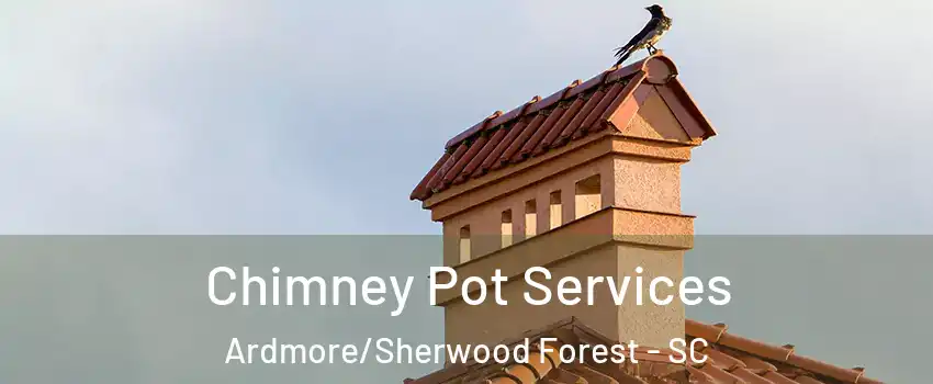 Chimney Pot Services Ardmore/Sherwood Forest - SC