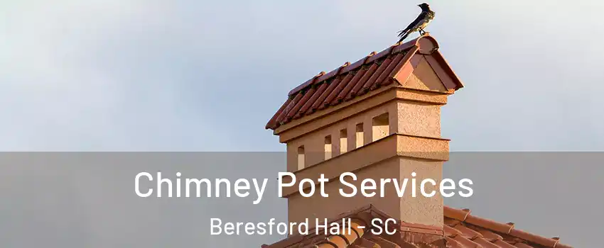 Chimney Pot Services Beresford Hall - SC