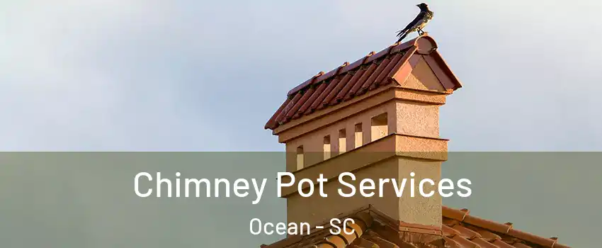 Chimney Pot Services Ocean - SC