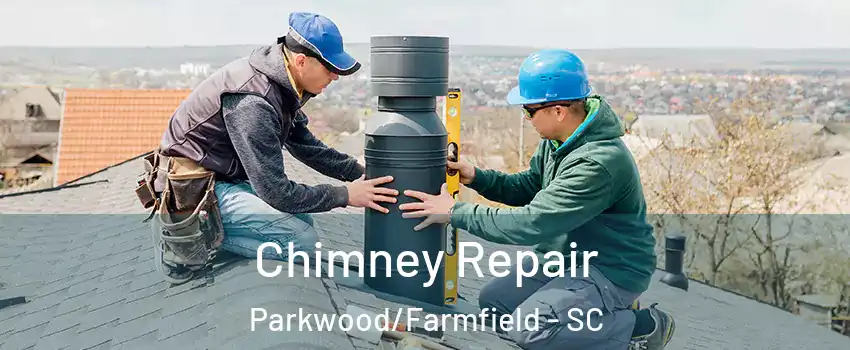 Chimney Repair Parkwood/Farmfield - SC