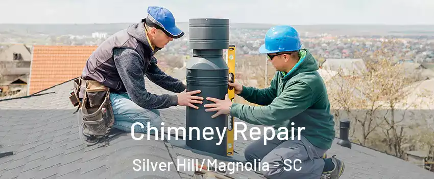 Chimney Repair Silver Hill/Magnolia - SC