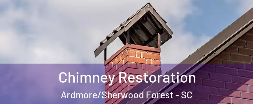 Chimney Restoration Ardmore/Sherwood Forest - SC