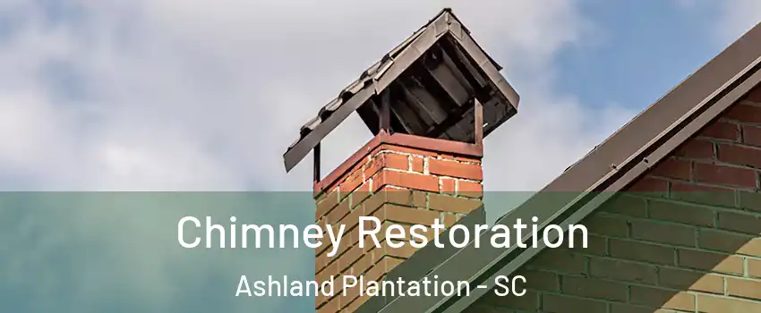 Chimney Restoration Ashland Plantation - SC