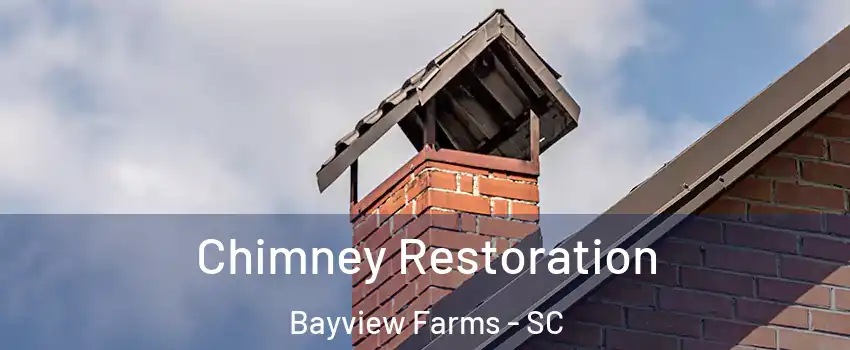 Chimney Restoration Bayview Farms - SC