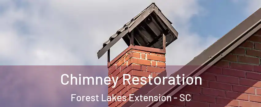 Chimney Restoration Forest Lakes Extension - SC