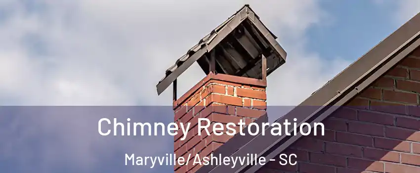 Chimney Restoration Maryville/Ashleyville - SC