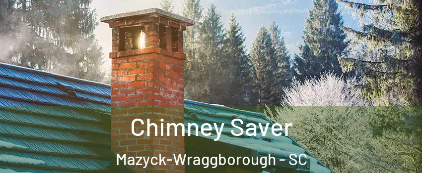 Chimney Saver Mazyck-Wraggborough - SC