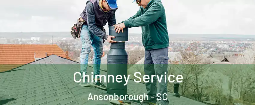 Chimney Service Ansonborough - SC