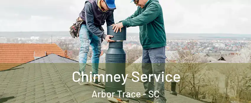 Chimney Service Arbor Trace - SC