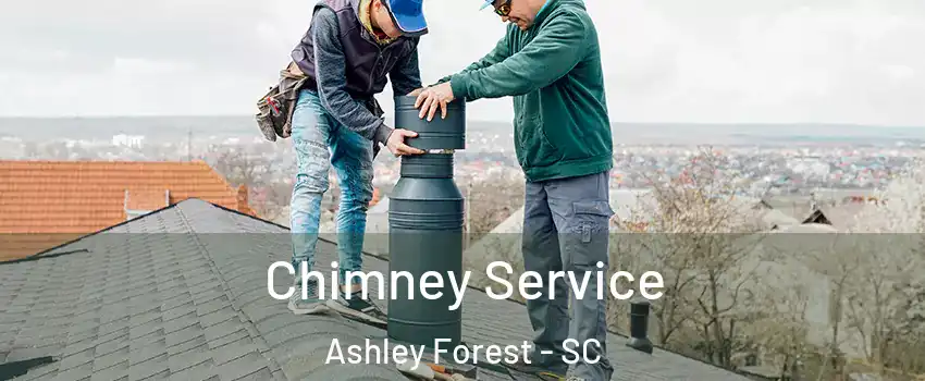 Chimney Service Ashley Forest - SC