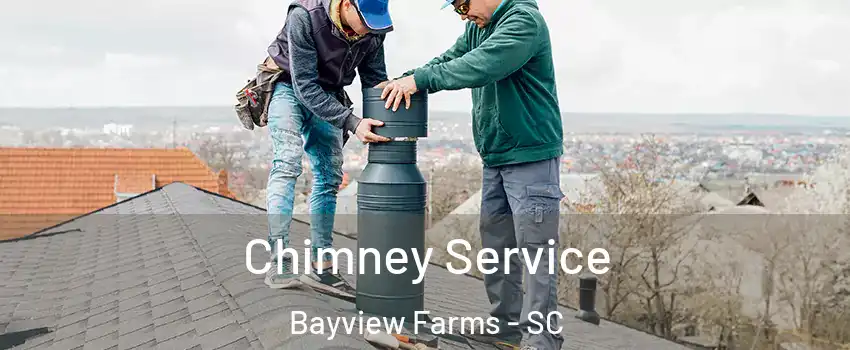 Chimney Service Bayview Farms - SC