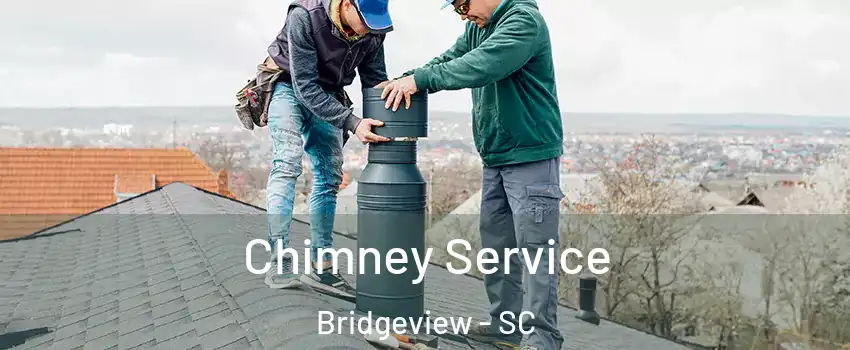 Chimney Service Bridgeview - SC
