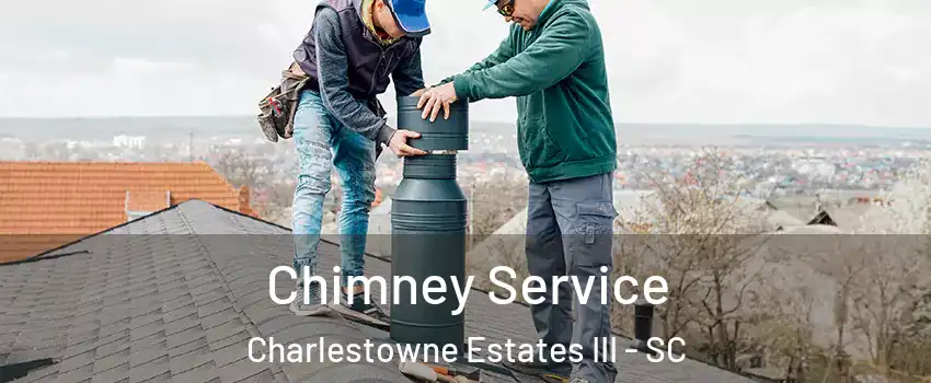 Chimney Service Charlestowne Estates III - SC