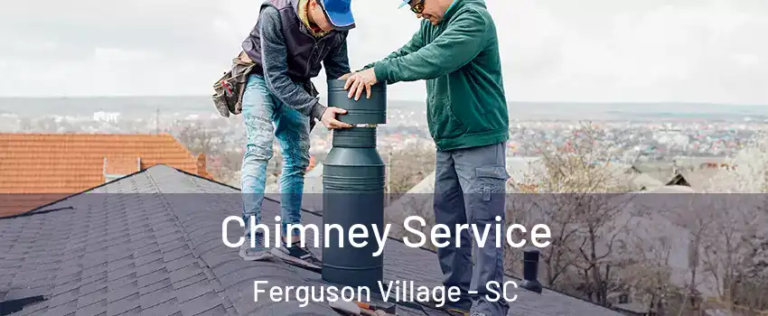 Chimney Service Ferguson Village - SC