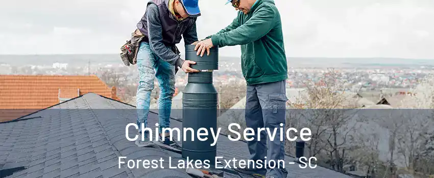Chimney Service Forest Lakes Extension - SC
