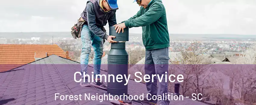 Chimney Service Forest Neighborhood Coalition - SC