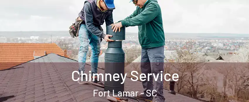 Chimney Service Fort Lamar - SC