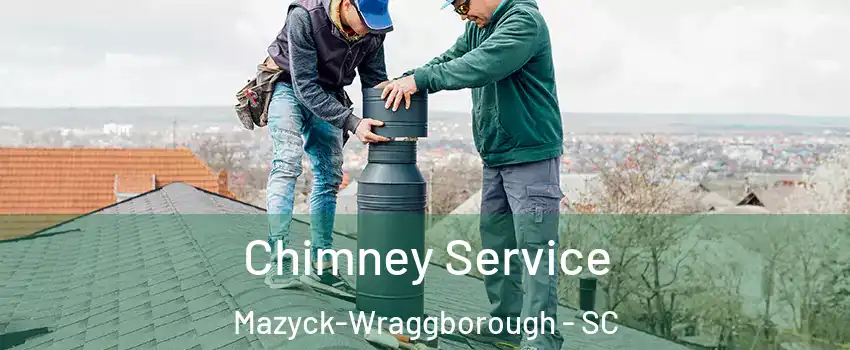 Chimney Service Mazyck-Wraggborough - SC