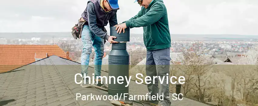 Chimney Service Parkwood/Farmfield - SC
