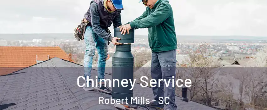 Chimney Service Robert Mills - SC