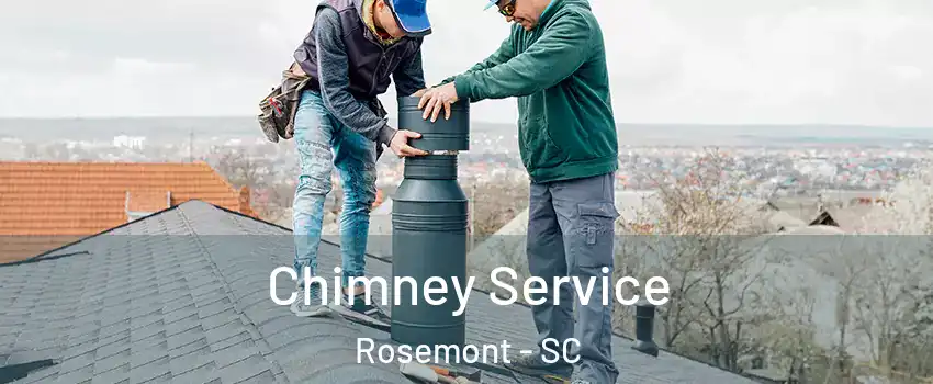 Chimney Service Rosemont - SC