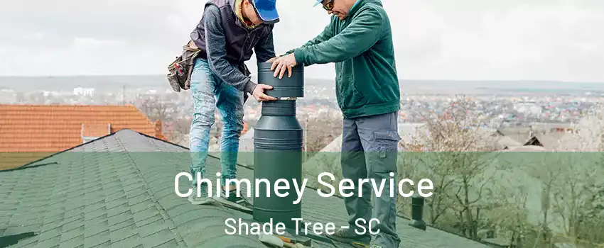 Chimney Service Shade Tree - SC