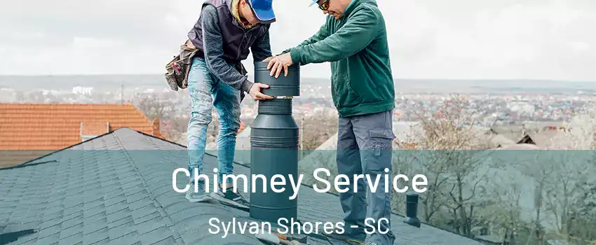 Chimney Service Sylvan Shores - SC