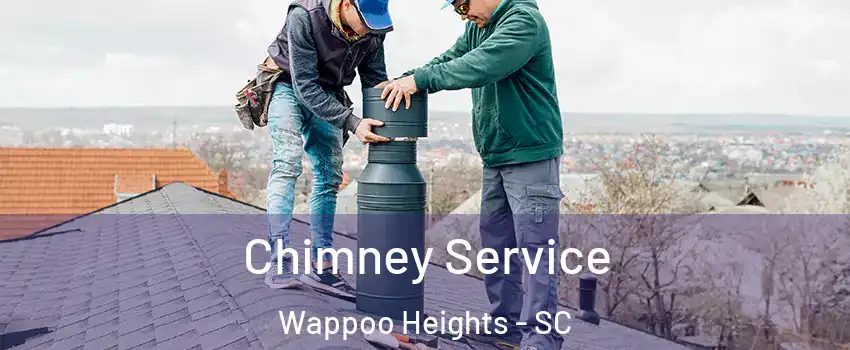 Chimney Service Wappoo Heights - SC
