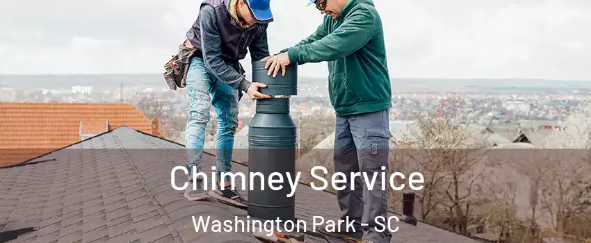 Chimney Service Washington Park - SC