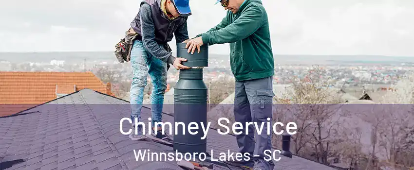 Chimney Service Winnsboro Lakes - SC