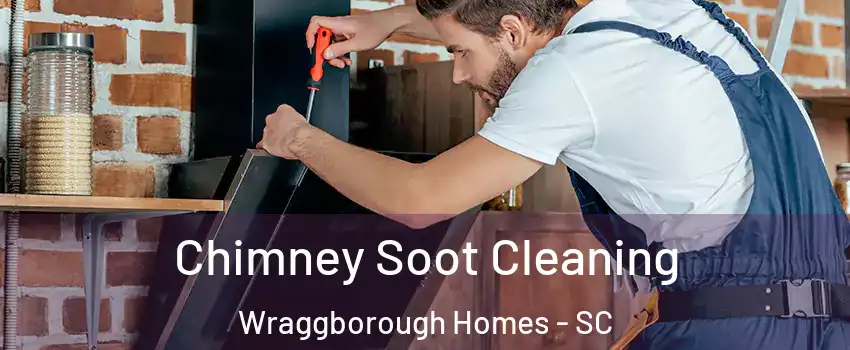 Chimney Soot Cleaning Wraggborough Homes - SC