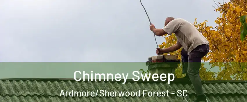 Chimney Sweep Ardmore/Sherwood Forest - SC