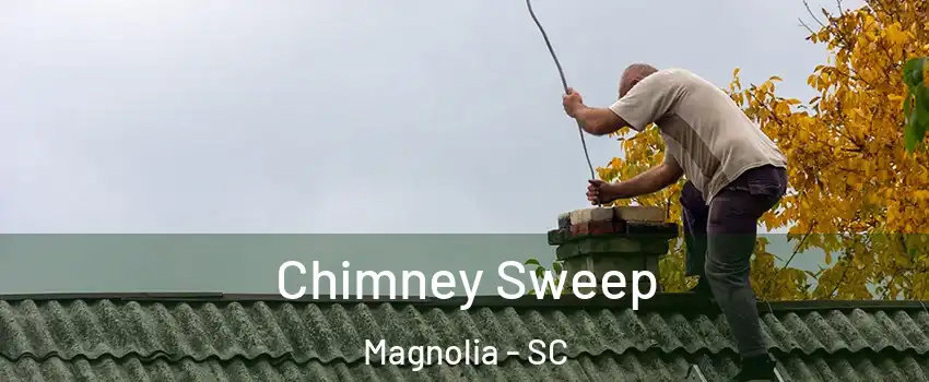 Chimney Sweep Magnolia - SC
