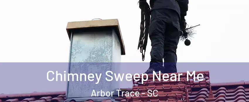 Chimney Sweep Near Me Arbor Trace - SC