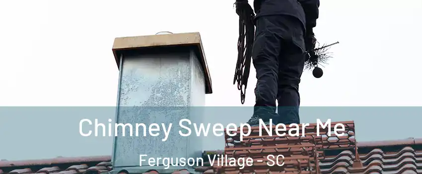 Chimney Sweep Near Me Ferguson Village - SC