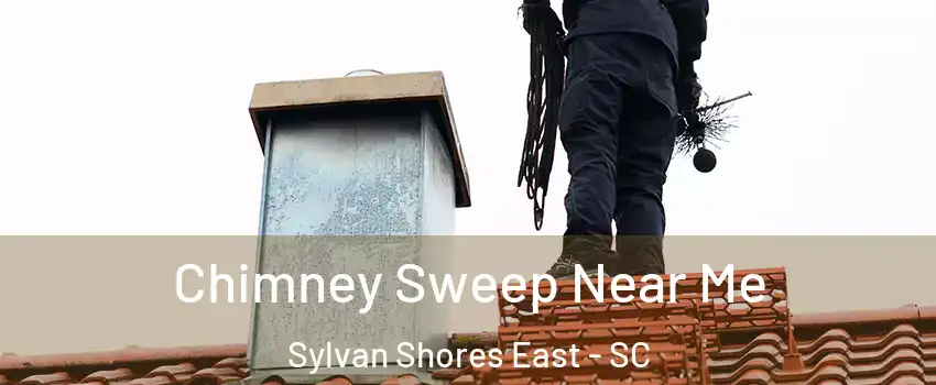 Chimney Sweep Near Me Sylvan Shores East - SC