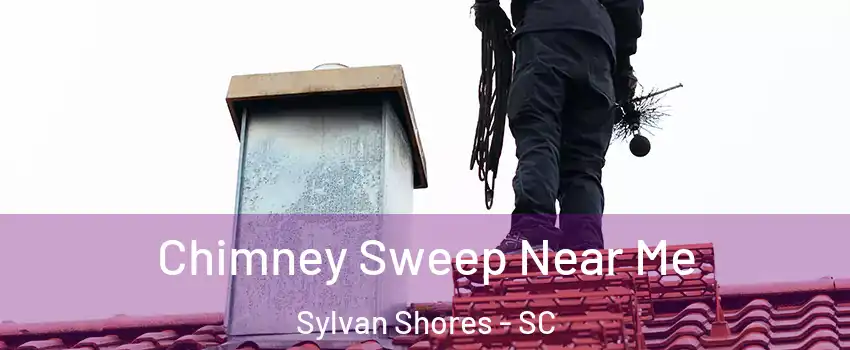 Chimney Sweep Near Me Sylvan Shores - SC
