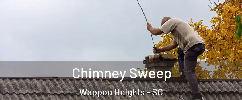 Chimney Sweep Wappoo Heights - SC