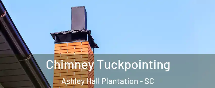 Chimney Tuckpointing Ashley Hall Plantation - SC
