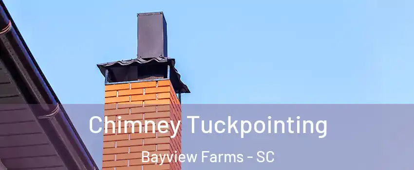 Chimney Tuckpointing Bayview Farms - SC