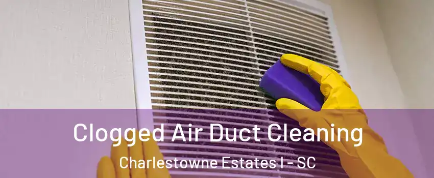 Clogged Air Duct Cleaning Charlestowne Estates I - SC