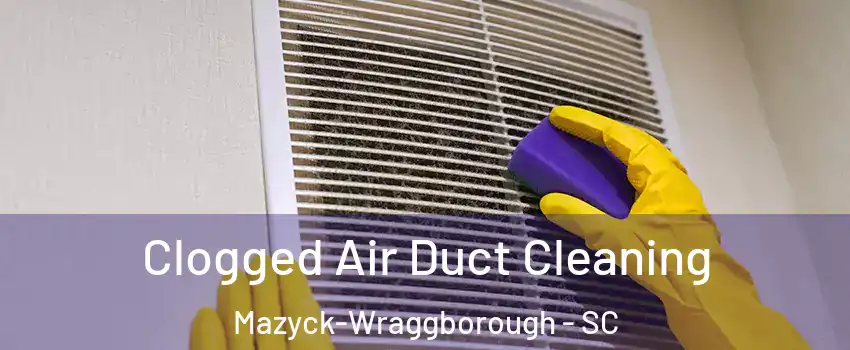 Clogged Air Duct Cleaning Mazyck-Wraggborough - SC