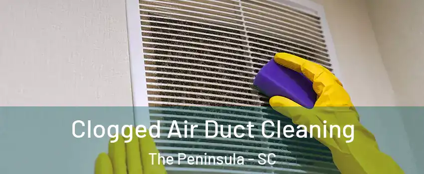 Clogged Air Duct Cleaning The Peninsula - SC