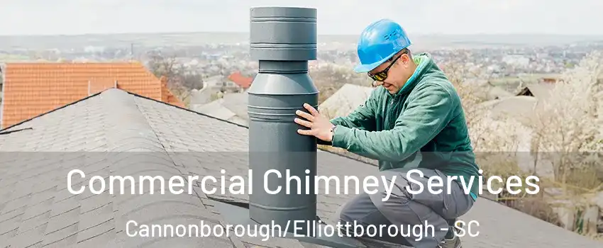 Commercial Chimney Services Cannonborough/Elliottborough - SC