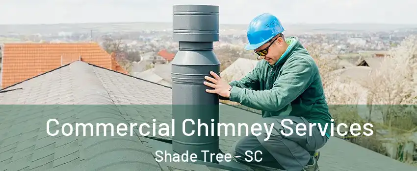 Commercial Chimney Services Shade Tree - SC
