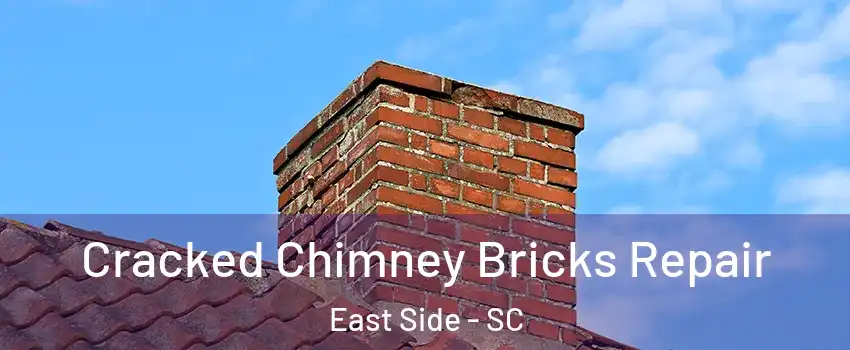 Cracked Chimney Bricks Repair East Side - SC