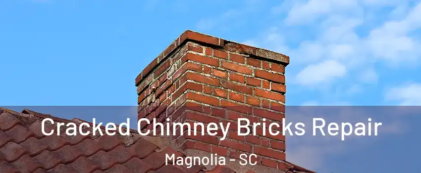 Cracked Chimney Bricks Repair Magnolia - SC